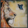 Solomon & The Blue Butterfly
