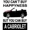 Cabriolet rijdende cabriolet bestuurder cabriolet zegt auto