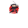 Programmation code ninja