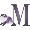 Lettre M avec chat curieux