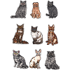 Cat Breeds