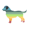 Retro golden retriever