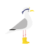 Seagull rubber boots