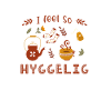 Hygge Hyggelig Scandinavia