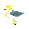 Dissatisfied seagull