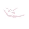 Fille de gymnastique