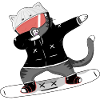 Snowboard cat
