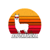 Sunset with alpaca