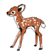 Ma propre douce Bambi