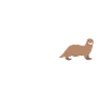 otter