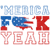 Amerika Fick ja
