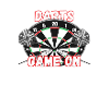 darts