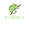 Chamäleon Reptilien Echse Echsperte