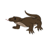 Komodo dragon