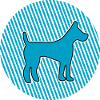 Dog dog