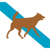 Dog dog
