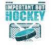 Eishockey Schule