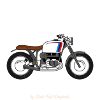 Boxer what else
