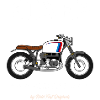 Boxer what else