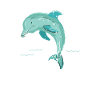 Dolphin-kids-design-christian