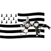 Breton flag