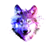 Wolf Acquerello Wolf Face Pack Of Wolves Lover