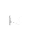 angler