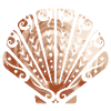 Maori shell capesante tatuaggio polinesiano