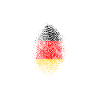 Germany flag fingerprint
