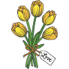 Tulipes
