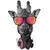 Giraffe with sunglasses
