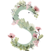 Letter S with flowers