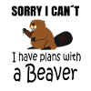 BEAVER: Plans with a Beaver