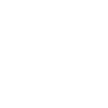 Labradoodle