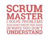 « Scrum Master » |