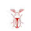 Insecte 2.0
