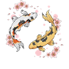 Kois Fish