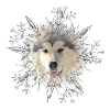Malamute Crystal