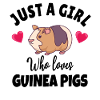 GUINÉE PIG: Love Pigs