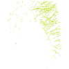 Abstract design / line / green / pattern / nature