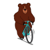 Bear on a bike