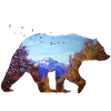 Brown bear