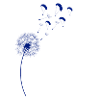 Rainbow Dandelion Paraglider Bleu