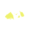 Gravity Wildlife