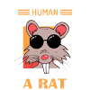 Rat, amoureux des rats, rats