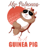 Guinea pigs, spells, wizards, magic