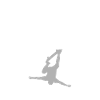 Patineurs