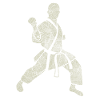 karate player