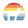 Âne rétro