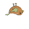 dead bird bird dying